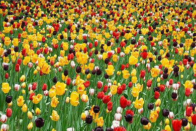 《暗黑破坏神4》2025年未来规划 憎恨时代持续蔓延